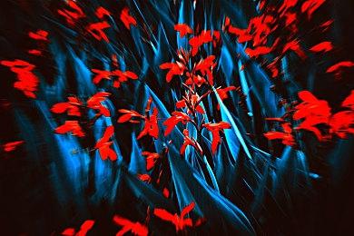 《瑞奇与叮当：分离》PC性能测试：PS4确实跑不动