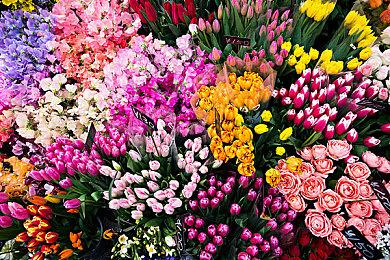 《祇：女神之道》Steam特别好评 战斗出彩